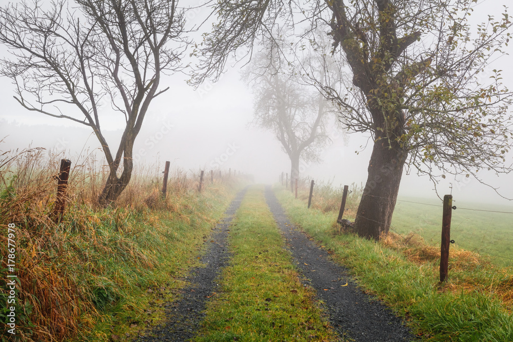 Autumn misty morning in Germany Autumn misty morning in Germany