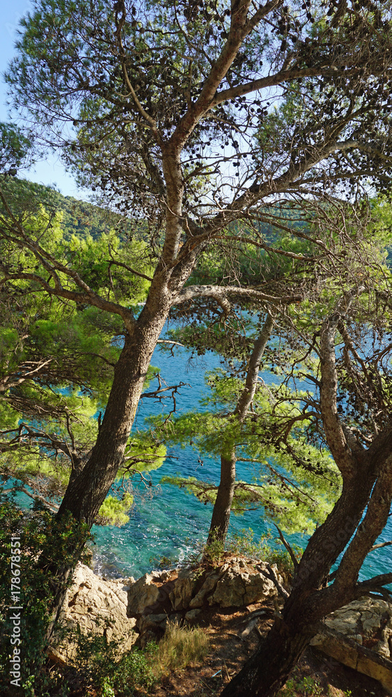 amazing natural beach in croatian town dubrovnik