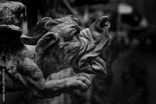 gargoyle cathedral milan italy