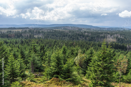 The landscape of mountain in Harz, Germany