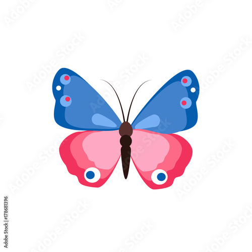 Butterfly vector spring