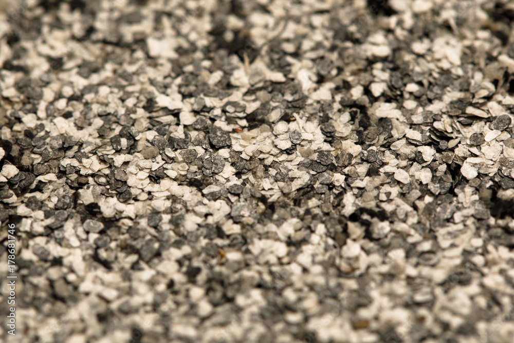 decorative shell texture, black and white fractions decorative shell texture, black and white fractions