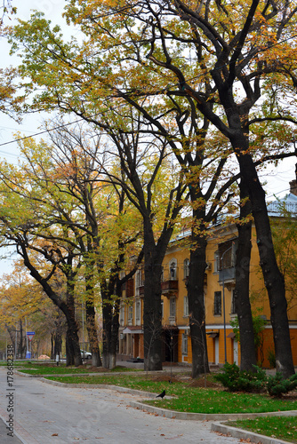 Almaty city streets