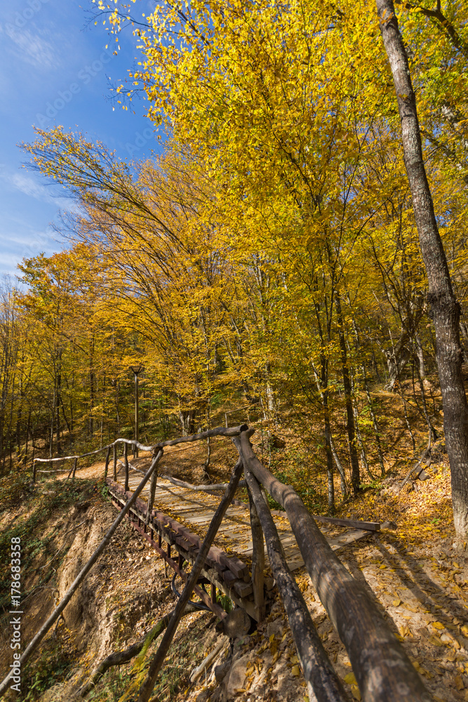 Autumn Landscape with yellow near Devil town in Radan Mountain, Serbia Autumn Landscape with yellow near Devil town in Radan Mountain, Serbia