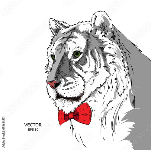 Fototapeta Naklejka Na Ścianę i Meble -  Portrait of a tiger with tie and in the glasses. Can be used for printing on T-shirts, flyers and stuff. Vector illustration