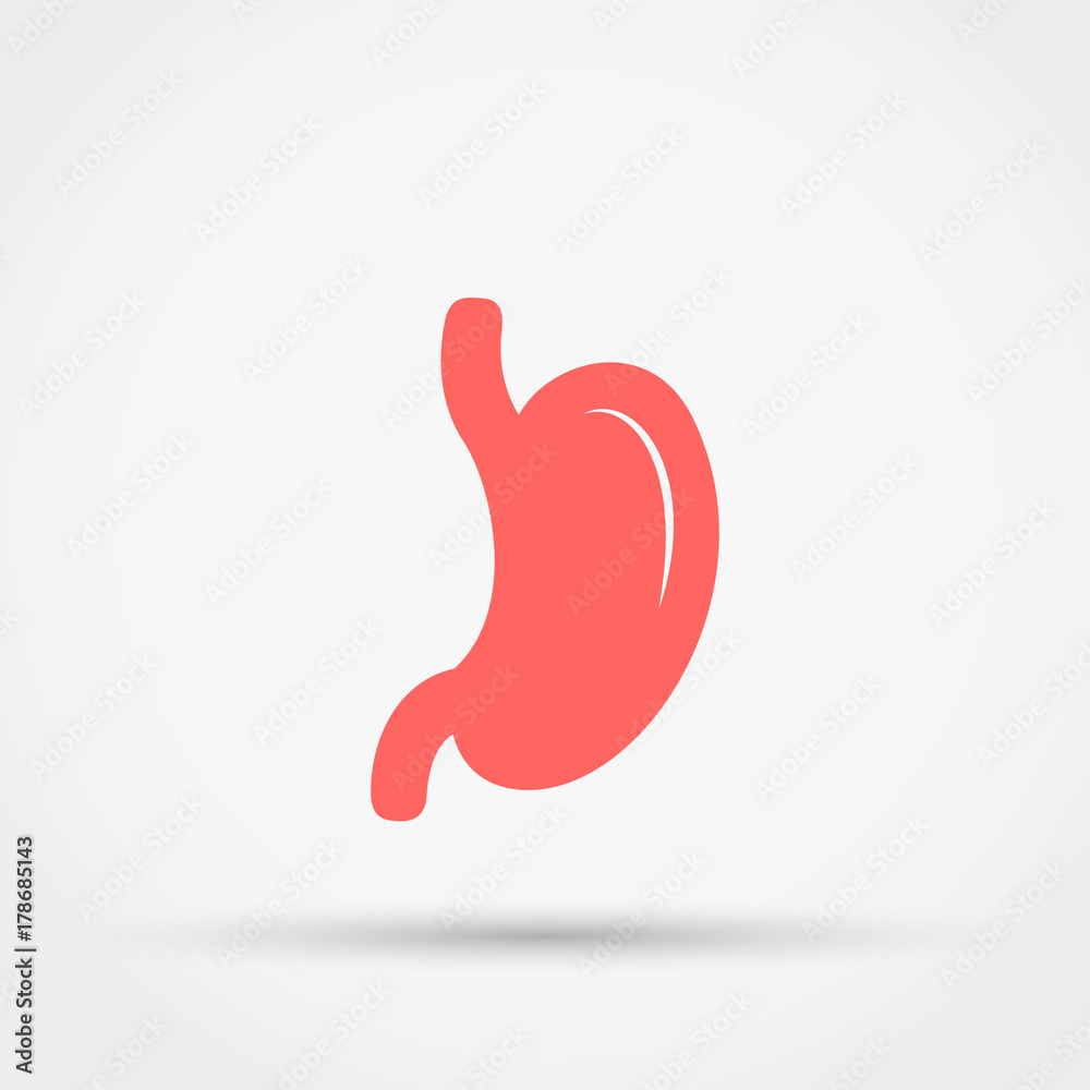 Stomach vector icon. Stomach vector icon.