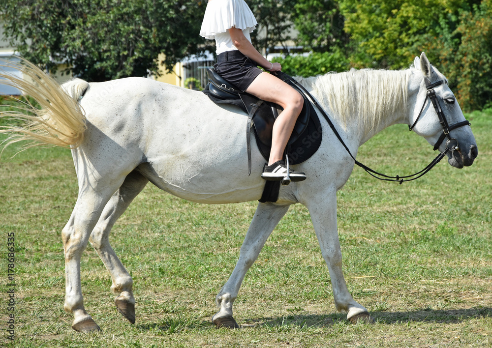 Young girl hoseback riding on the meadow Young girl hoseback riding on the meadow