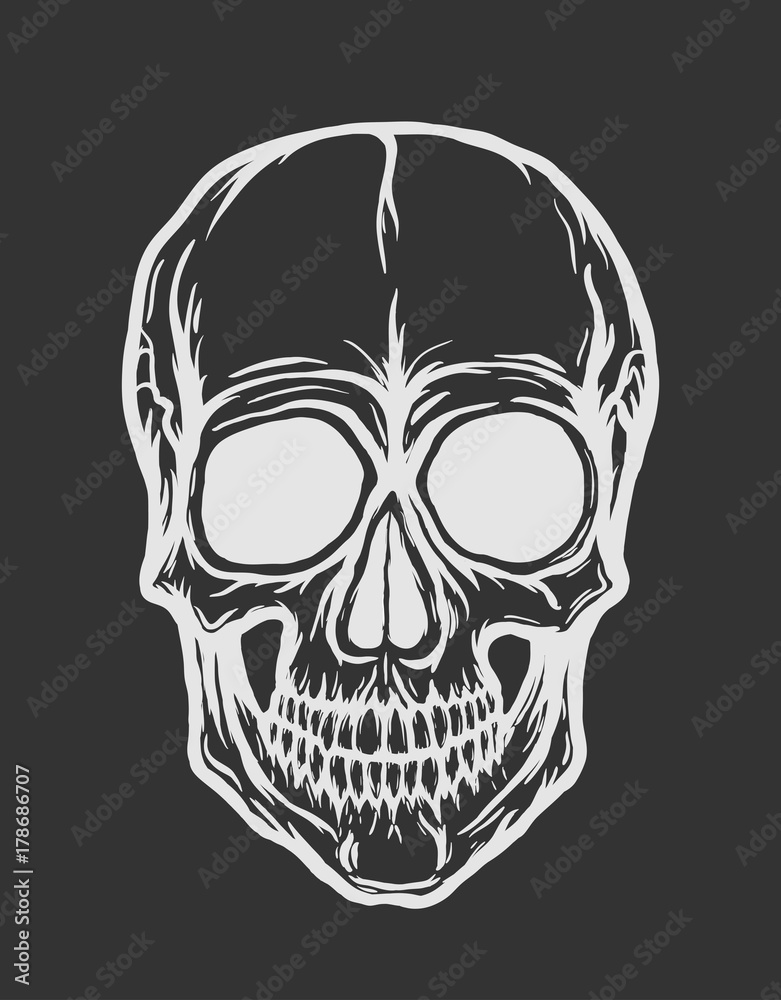 Obraz premium White skull vector isolated on black background. Handdrawn illustration.