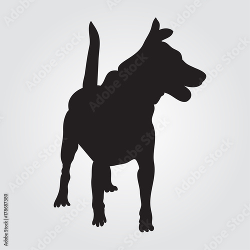 Dog sign icon. Pets symbol