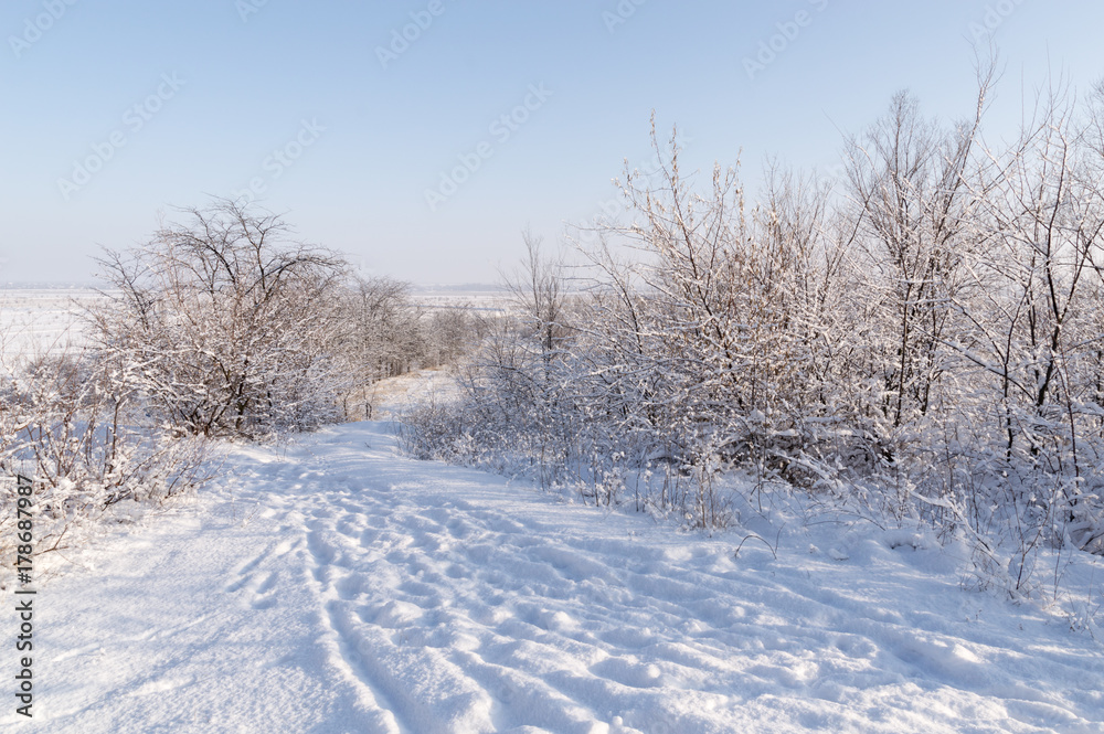 A snow-covered road, stretching out into the distance in the forest, a clear sunny day in winter