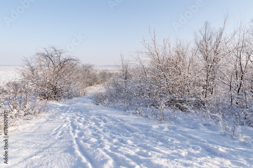 A snow-covered road, stretching out into the distance in the forest, a clear sunny day in winter © esbuka