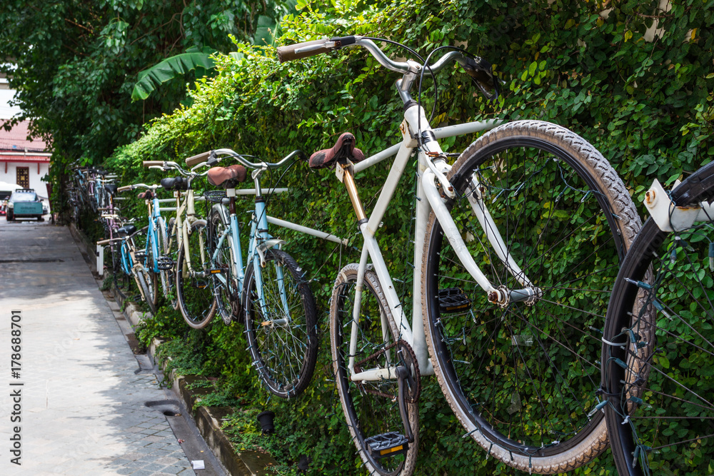 Fototapeta premium 自転車・二輪車・アート