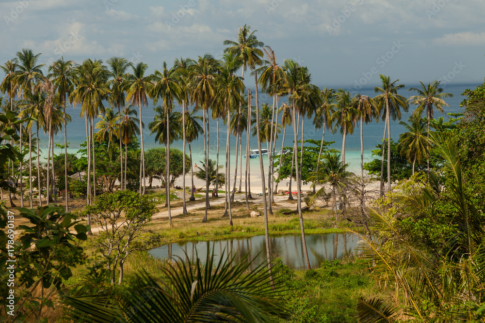 Obraz premium Thailand, Phi Phi island. Palm tree leaves over luxury beach.