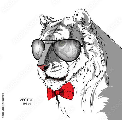 Fototapeta Naklejka Na Ścianę i Meble -  Portrait of a tiger with tie and in the glasses. Can be used for printing on T-shirts, flyers and stuff. Vector illustration