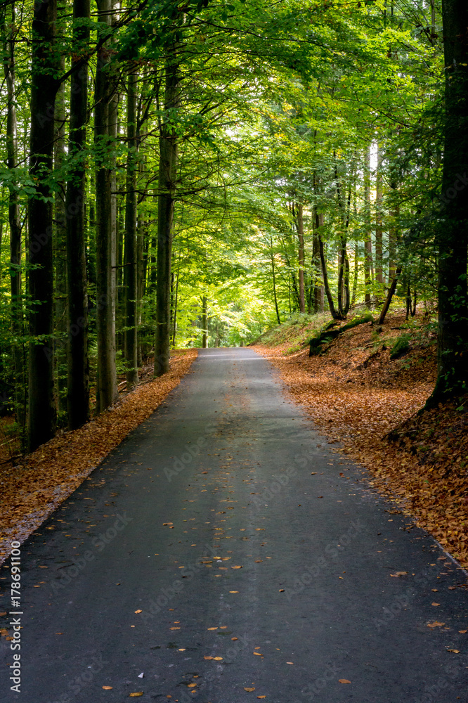Naklejka premium Straße im Herbst