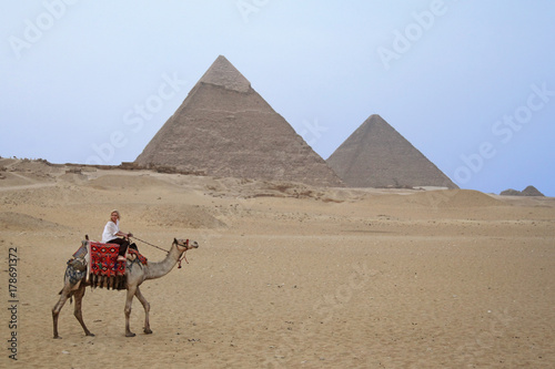 Urlauberin auf einem Kamel alleine in der W  ste vor den Pyramiden