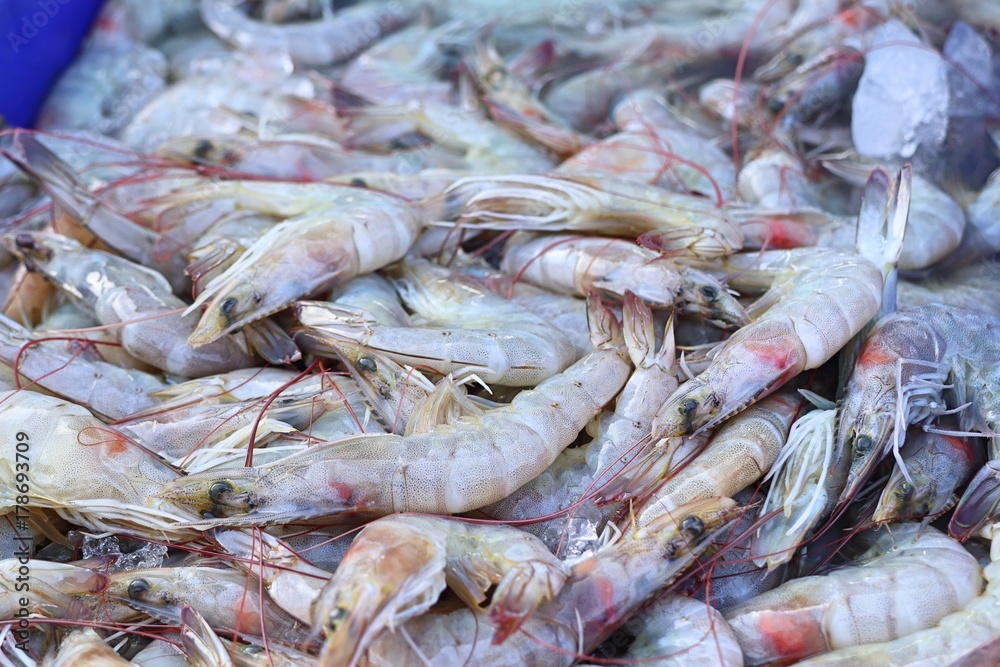 Fresh shrimp in market