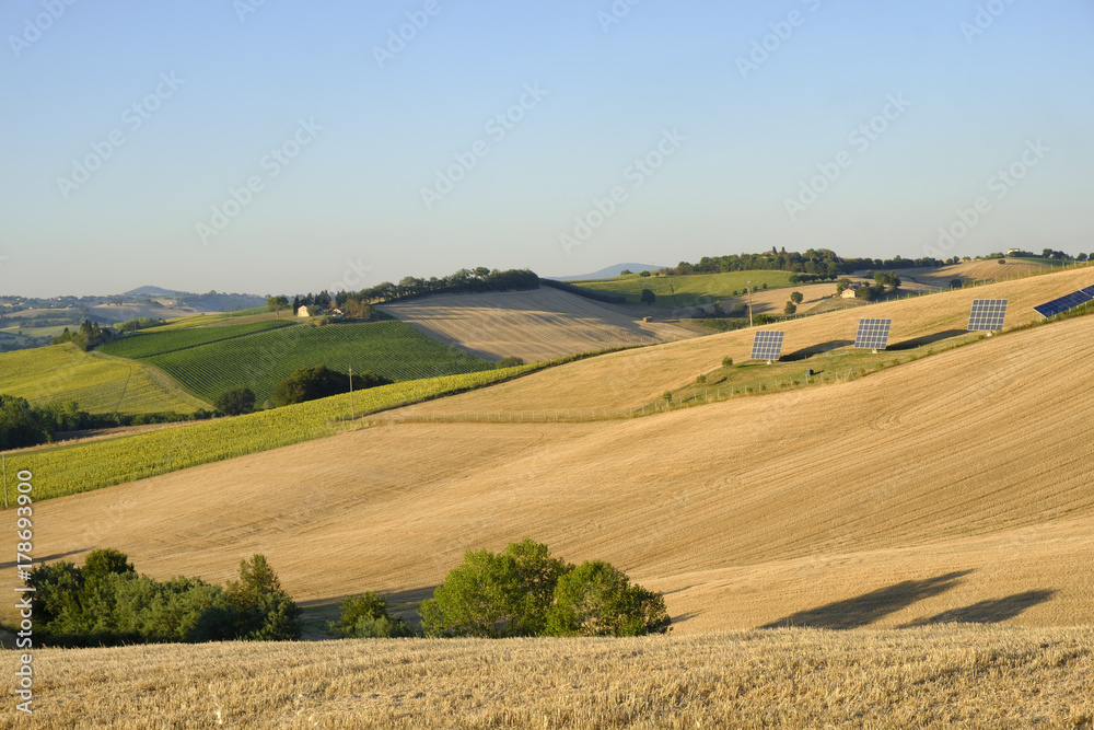 Summer landscape in Marches (Italy) near Filottrano