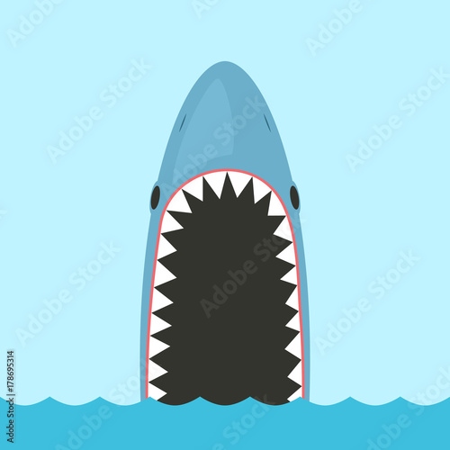 Shark with open mouth