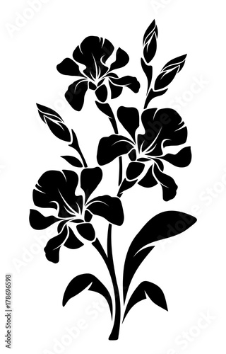 Fototapeta Naklejka Na Ścianę i Meble -  Vector black silhouette of branch of iris flowers isolated on a white background.