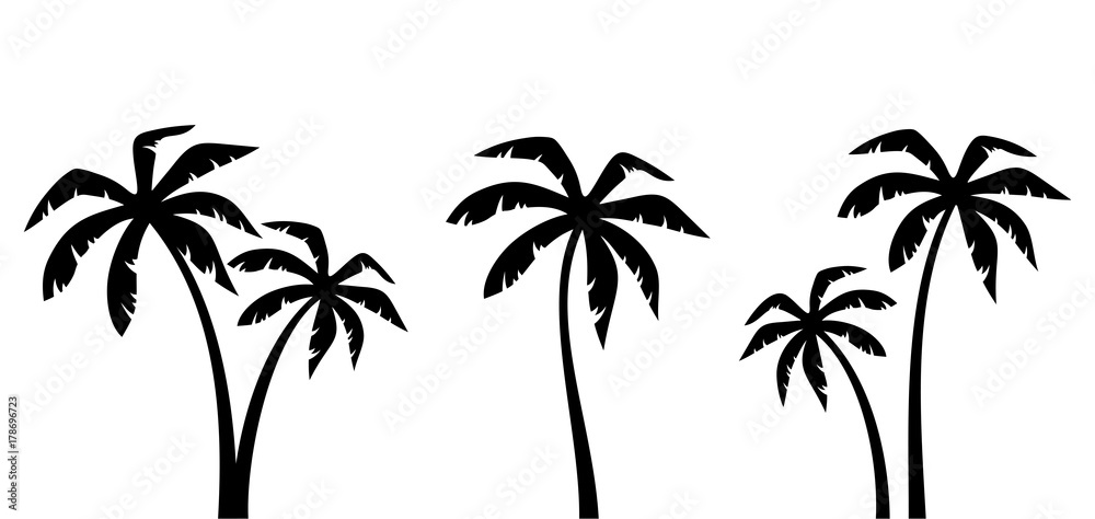 Obraz premium Zestaw wektor czarne sylwetki drzew palmowych na białym tle na białym tle.