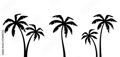 Fényképezés Set of vector black silhouettes of palm trees isolated on a white background