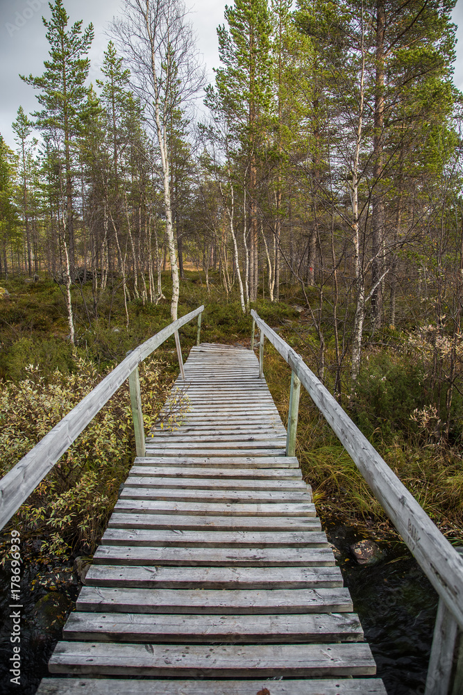 A beautiful autumn landscape in Norway with a wooden bridge. Colorful, natural scenery.