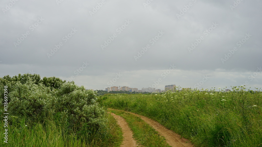 Fototapeta premium Field road