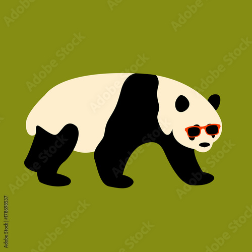 Fototapeta Naklejka Na Ścianę i Meble -  panda face in glasses vector illustration style flat