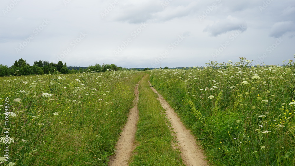 Obraz premium Field road