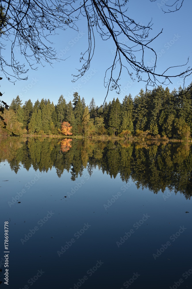 Obraz premium landscape