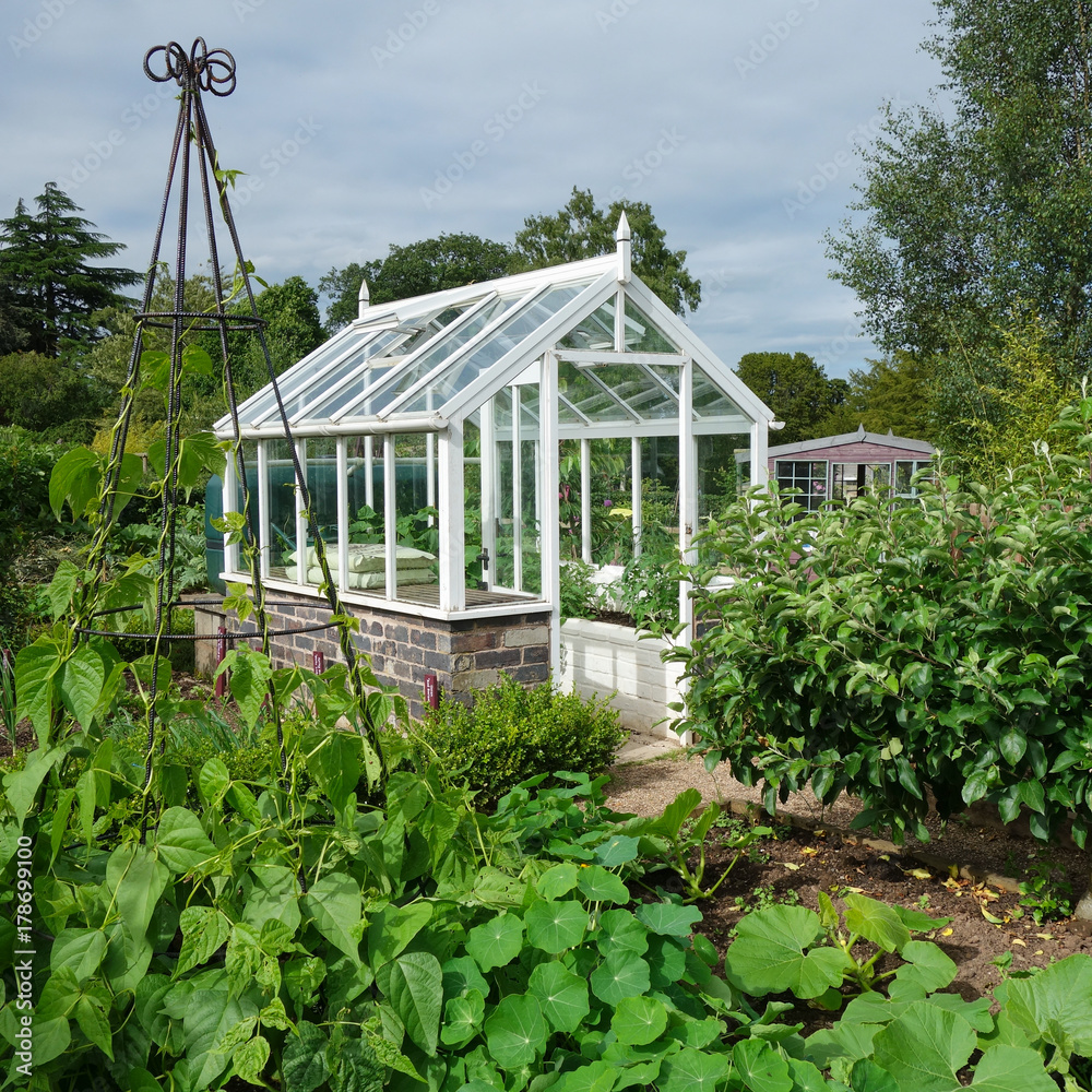 Small greenhouse in English country allotment garden. Stock Photo | Adobe  Stock