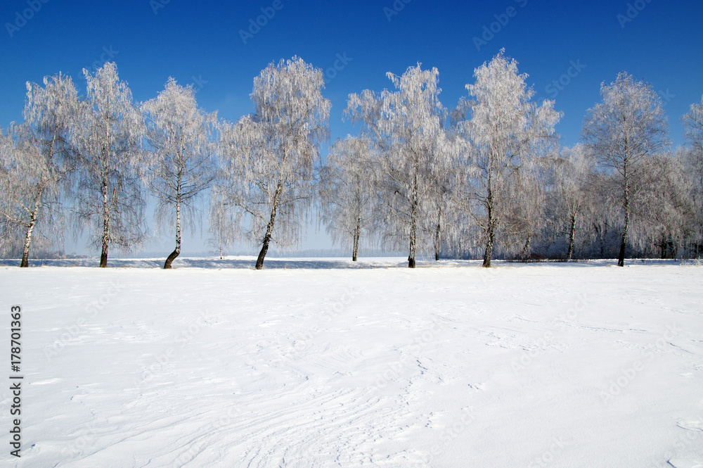 field of snow