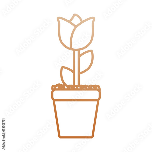 flat line colored flowerpot over white background vector illustration