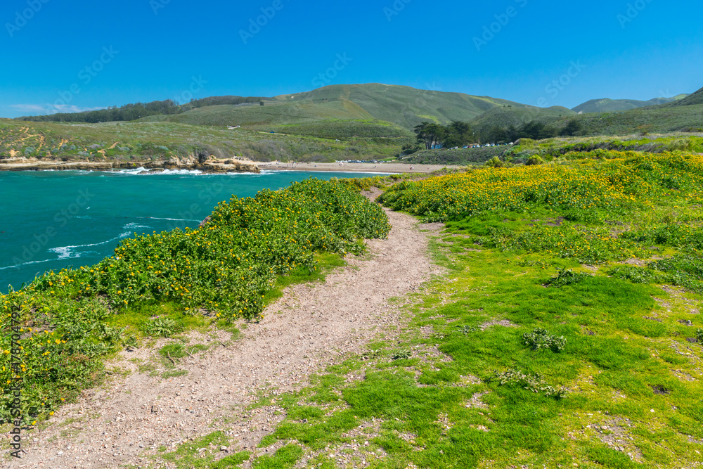 Exploring the Pacific shoreline at Spooner's Cove, Bluff Trail, Montana de Oro State Park, Morro Bay, San Luis Obispo County, California, USA