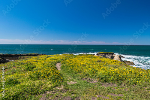 Exploring the Pacific shoreline at Spooner's Cove, Bluff Trail, Montana de Oro State Park, Morro Bay, San Luis Obispo County, California, USA