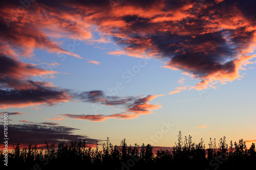 Set sunset background. Sky  clouds in field. Nature.