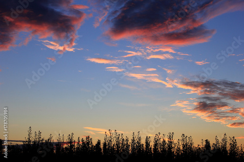 Set sunset background. Sky  clouds in field. Nature.