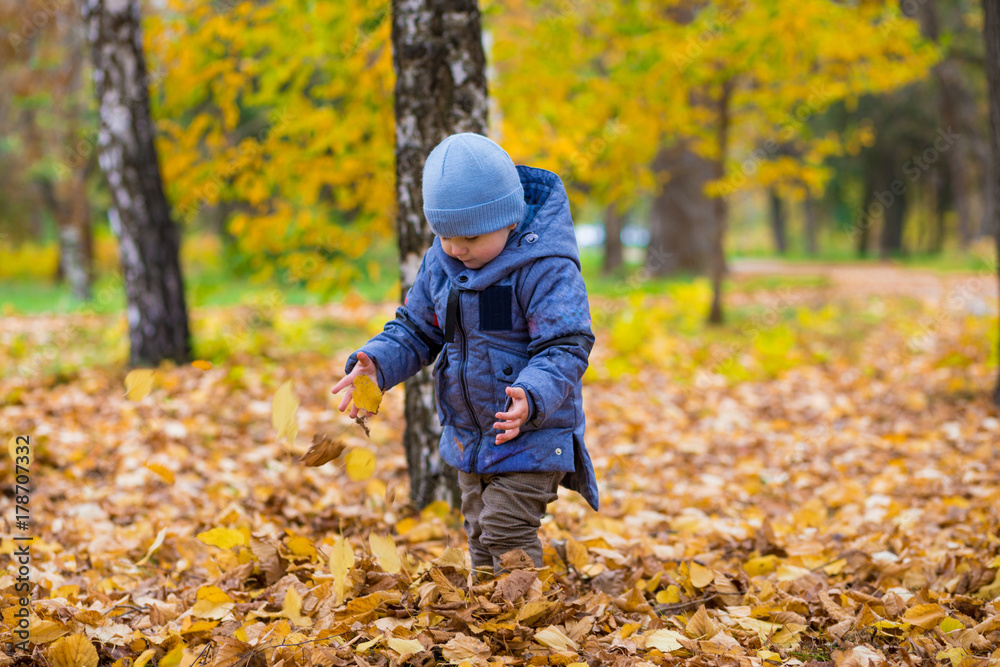 1 years old baby walks in the park on fallen colorful leaves in autumn day 1 years old baby walks in the park on fallen colorful leaves in autumn day