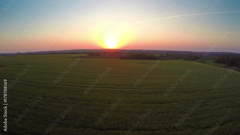 Flying to sunset over field with ripe wheat, 4k
Flying to sunset over field with ripe wheat, 4k