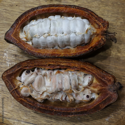 Cabosse de cacao fraîche, coupée en deux