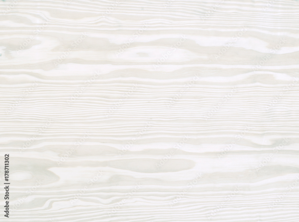 Obraz premium Texture di legno bianco