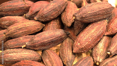 Cabosses de cacao séchées