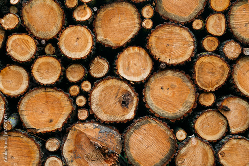firewood texture