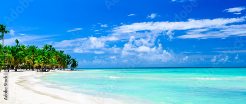 paradise tropical beach palm the Caribbean Sea © dbrus