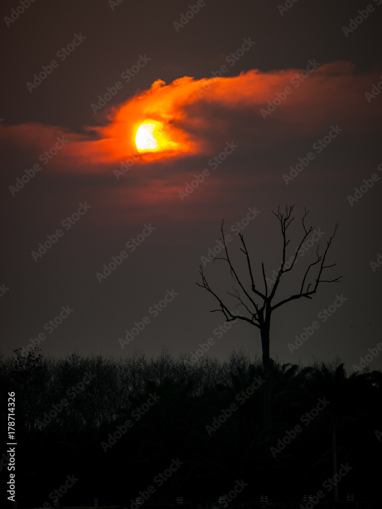 scare twilight sunset scare twilight sunset