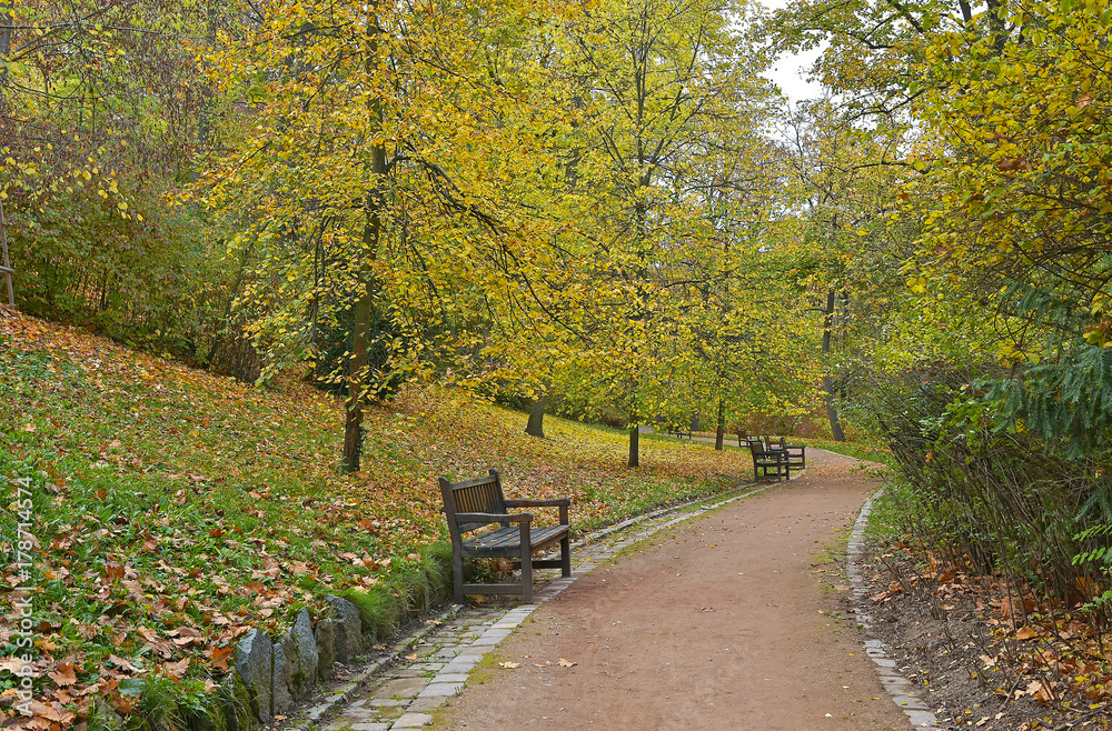 wooden bench in park in autumn