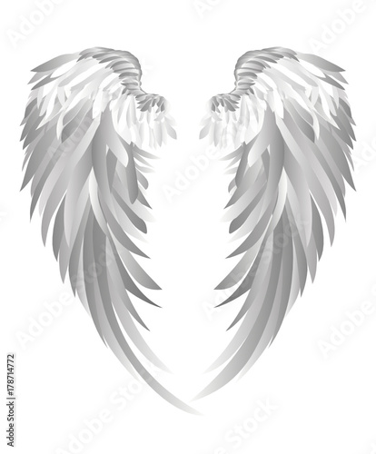 Wings. Vector illustration on white background. Black and white 