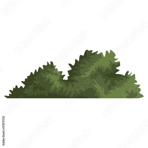 Bush plant isolated icon vector illustration graphic design