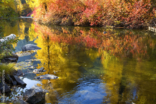 Fototapeta Naklejka Na Ścianę i Meble -  Fall Colors Wenatchee River Stevens Pass Leavenworth Washington